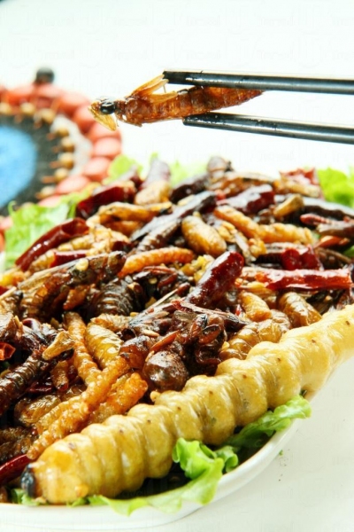 雲南人家的蟲食中的酥炸雜蟲有:竹蟲、蠶蛹、蚱蜢、水蜻蜓、金蟬子、柴蟲等款式。
