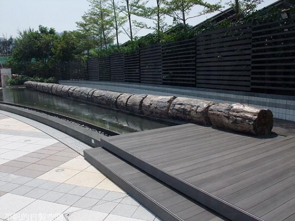 如心化石公園當中最搶眼的是兩個分別來自印尼及南美的百呎長木化石 (網上圖片)
