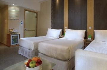 尖沙咀皇悅酒店 Empire Hotel Tsim Sha Tsui