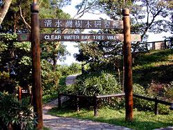 清水灣樹木研習徑(漁農署圖片)