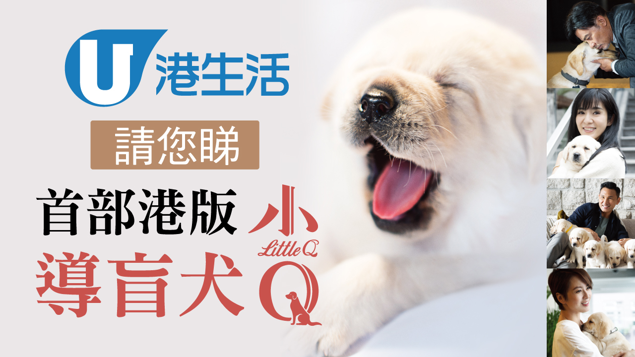 港生活請您睇首部港版導盲犬《小Q》！