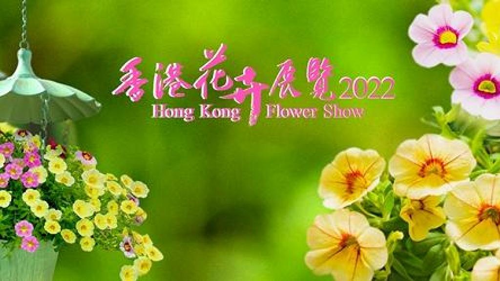 原定3月22年香港花卉展覽取消 康文署考慮以不同方式展出花卉 港生活 尋找香港好去處