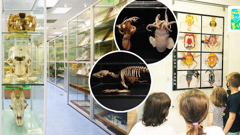 【香港大學好去處】香港首個生物多樣性博物館開幕！藏過萬物種標本/珍稀物種/預約參觀詳情