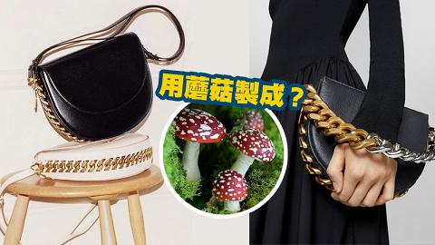 Stella McCartney全新推出純素皮革手袋 用蘑菇菌絲體製成？全球限量100個