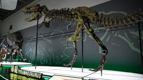 大型恐龍展覽「八大‧尋龍記」7月登陸科學館！8組完整度極高化石標本/1比1棘龍/哈特茲哥翼龍