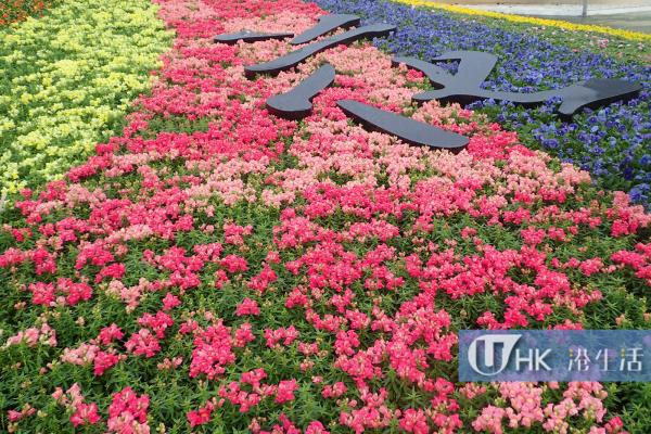 香港花卉展覽2016