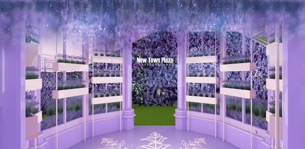 暑假好去處 全港首個薰衣草園登陸沙田3000呎花海 紫藤花隧道 3 5米滑草梯 港生活 尋找香港好去處