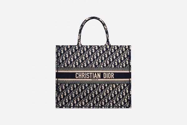 christian dior book tote bag price