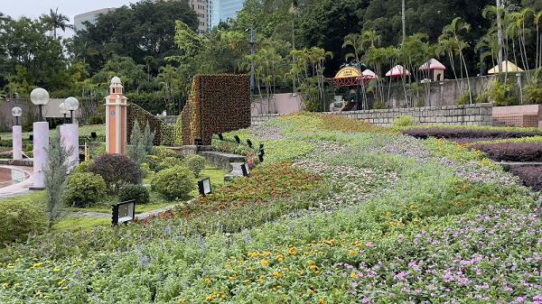 回歸25周年 花悅滿城 全城活動 港生活 尋找香港好去處