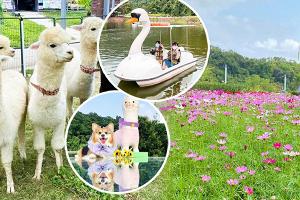 大埔50萬呎有機農莊玩足6個鐘︱5月十大酒店生日優惠