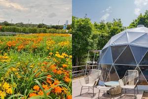 夏日3大賞花好去處︱長洲透明圓拱屋豪華Glamping