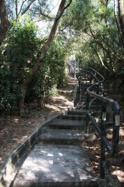 走上手指山的前半段路有樹蔭,石階路也很易行。(陸嘉鈴攝)