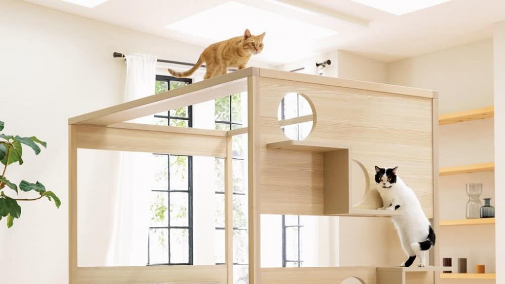 創意家具！日本公司推出人貓共用床整張床都係主子遊樂場！