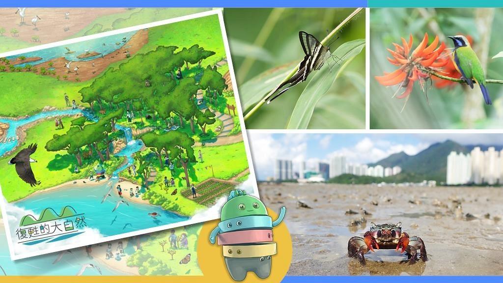 香港生物多樣性資訊站 推出教育活動平台 帶你認識本地生物多樣性
