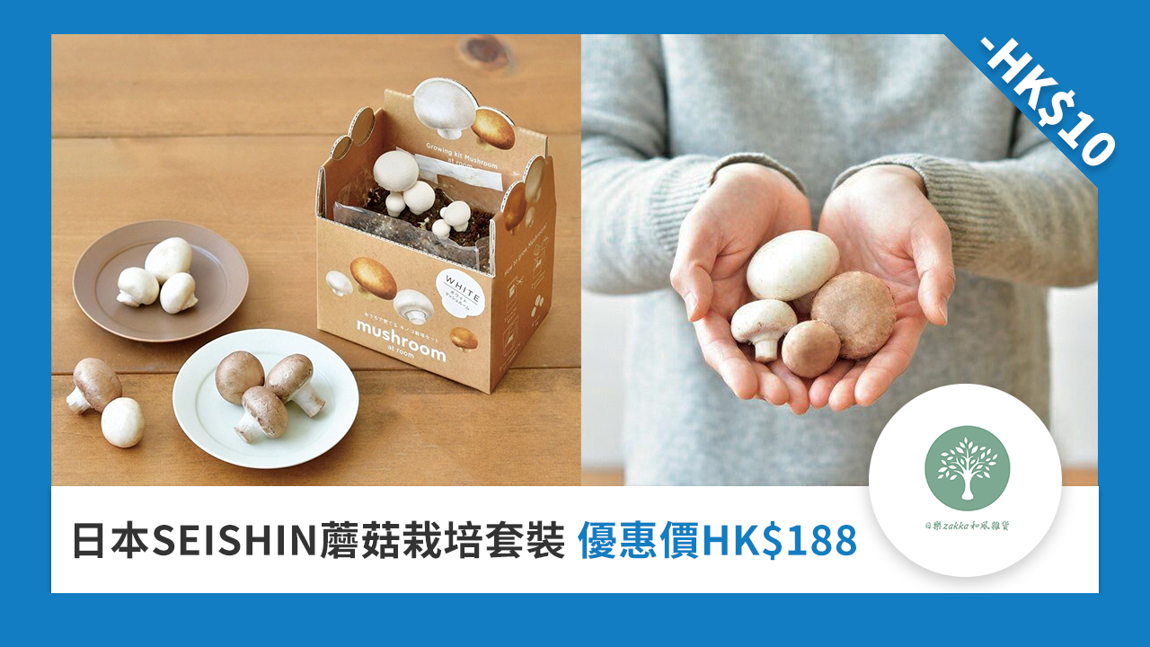 日本 SEISHIN 蘑菇栽培套裝
