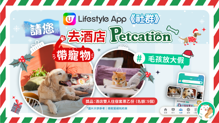 【社群送禮】請您同寵物去Staycation！精選生活達人及人氣熱話！