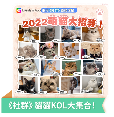 Post 2 社群貓貓KOL大集合！