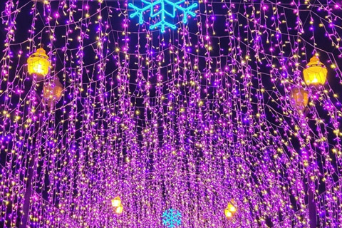沙田夢幻紫色燈海亮燈