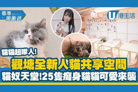 【香港周圍遊】直擊觀塘全新日式榻榻米風人貓共享空間